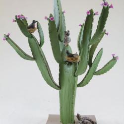 Cactus blooming Pink Flower